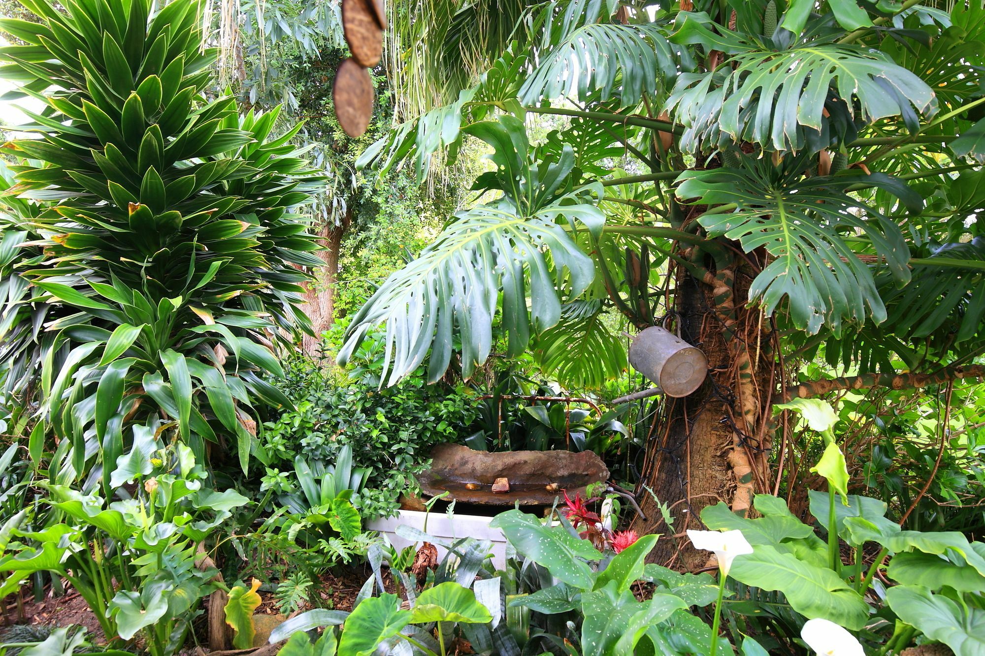 Hotel 9 Fern Rest George Esterno foto